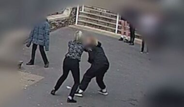Dad of girl who stabbed two teachers claims 'her actions have some merit'