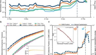 The dynamics of the Reddit collective action leading to the GameStop short squeeze