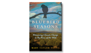 An author's vantage point for climate change