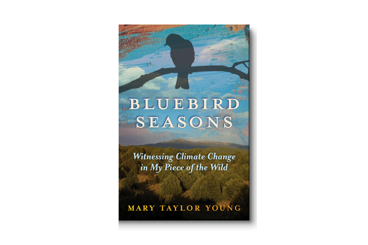 An author's vantage point for climate change
