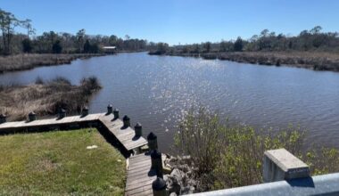 Moss Point middle school launches program to teach students about protecting environment