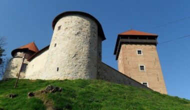 Archaeological discoveries unearth medieval life at Dubovac Old Town