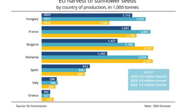 Hungary becomes EU’s leading sunflowerseed producer for the first time