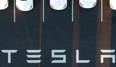 Tesla: Absatz in Deutschland bricht dramatisch ein