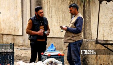 The Syrian pound is the currency in circulation in the city of Ras al-Ain, northwest of al-Hasakah - February 9, 2025 (Enab Baladi)