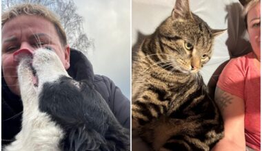 “Laukos katru dienu ir neskaitāmas mazo mirkļu burvības, kas palīdz dzīvot” – Lindas Mūrnieces lauku dzīves ainiņas