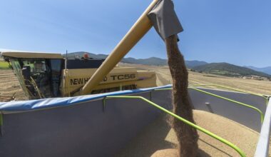 España compra el 40,2 % del cereal importado por la UE desde países terceros esta campaña