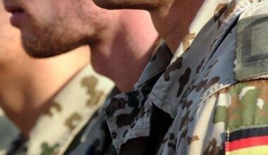 Kann die Alternative für Deutschland die NATO retten?