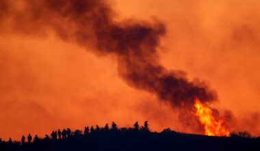 EU must propel global climate momentum to fill the gap left by Trump – POLITICO