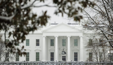 NSF restores payments after pause due to Trump order