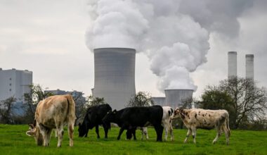 Brussels plans sweeping cuts to EU’s green rules, leaked bill reveals – POLITICO