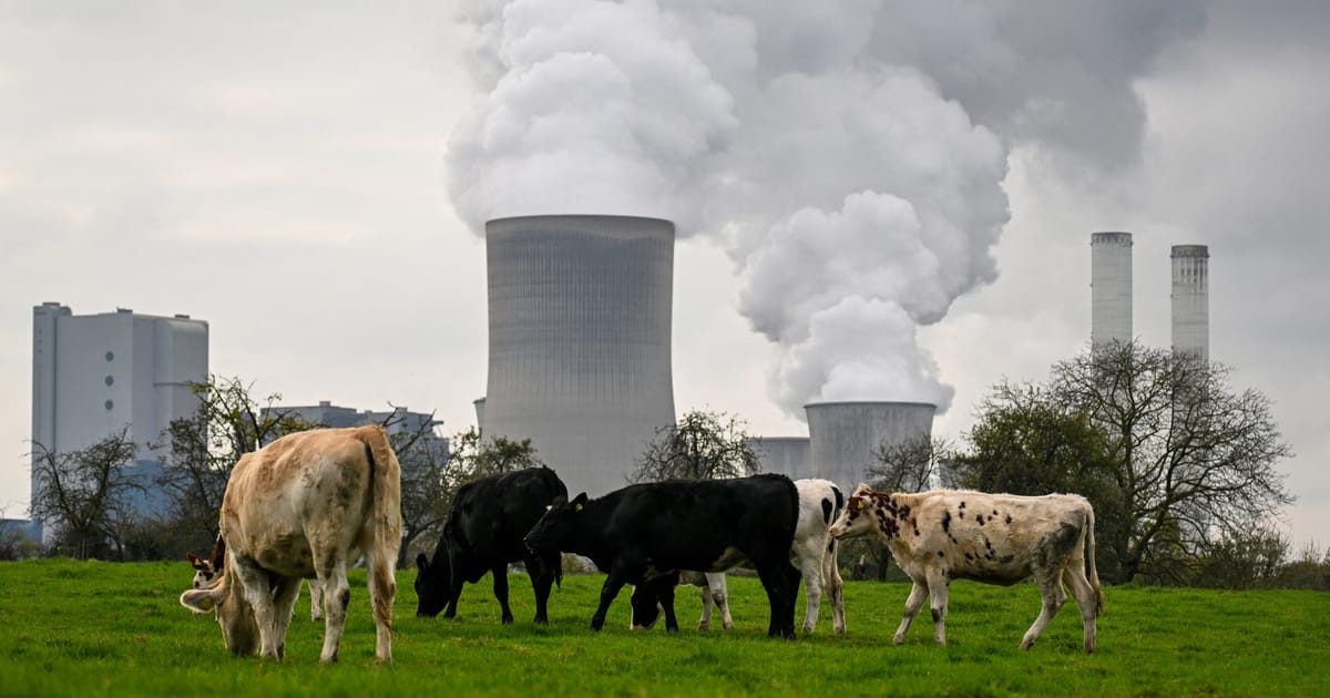 Brussels plans sweeping cuts to EU’s green rules, leaked bill reveals – POLITICO