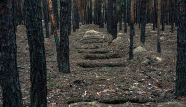 UN reports ‘alarming rise’ in Russia executing Ukrainian soldiers – POLITICO