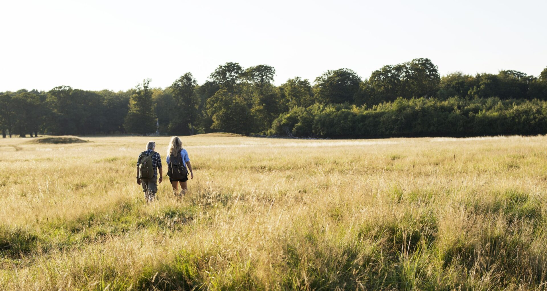 Framework confirmed for the Novo Nordisk Foundation support for a greener Denmark through the Green Tripartite agreement