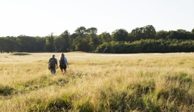 Framework confirmed for the Novo Nordisk Foundation support for a greener Denmark through the Green Tripartite agreement