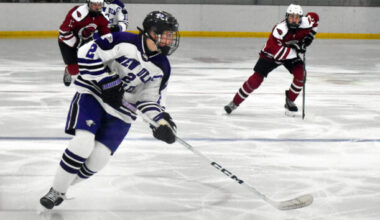 Eagles boys struggle to slow down Bluejays | News, Sports, Jobs