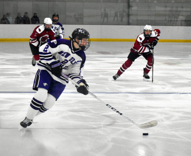Eagles boys struggle to slow down Bluejays | News, Sports, Jobs