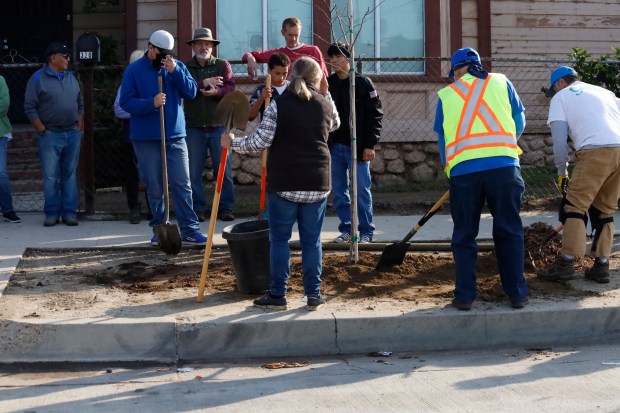 A group of volunteers are watching a demonstration of how...