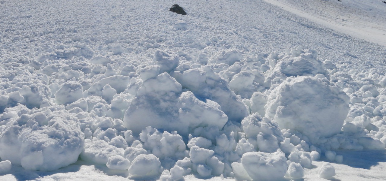 Shortage of Avalanche Dog Handlers in Switzerland