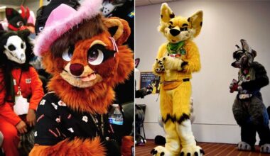 Furries warned not to 'abuse other species' or engage in 'fetish behavior' at mass gathering