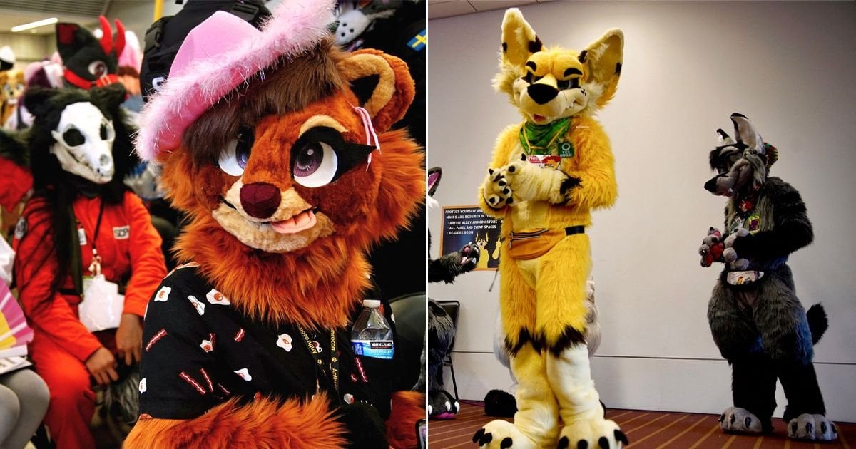 Furries warned not to 'abuse other species' or engage in 'fetish behavior' at mass gathering