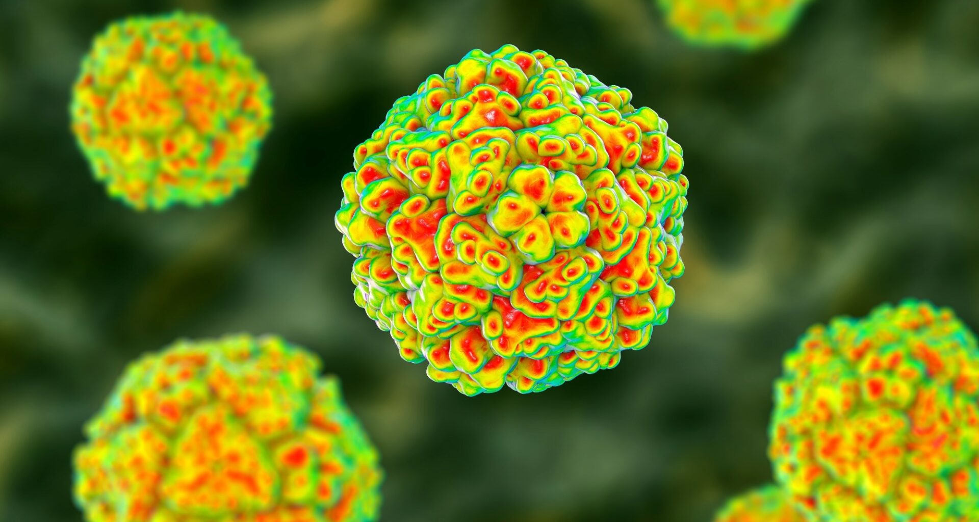 Rapid communication: Detections of rare enterovirus C105 linked to an emerging novel clade, Spain, 2019 to 2024. Image Credit: Kateryna Kon / Shutterstock
