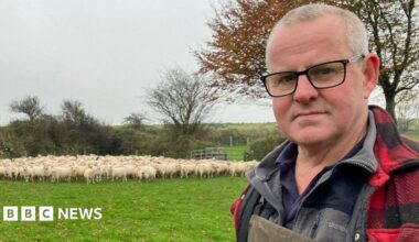 'I've lost 4,500 sheep to thieves on Dartmoor'
