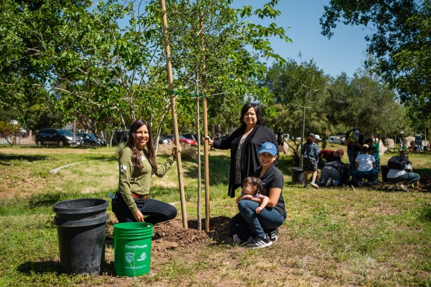 Volunteers with TreePeople plant trees at Rudy Ortega Park in...