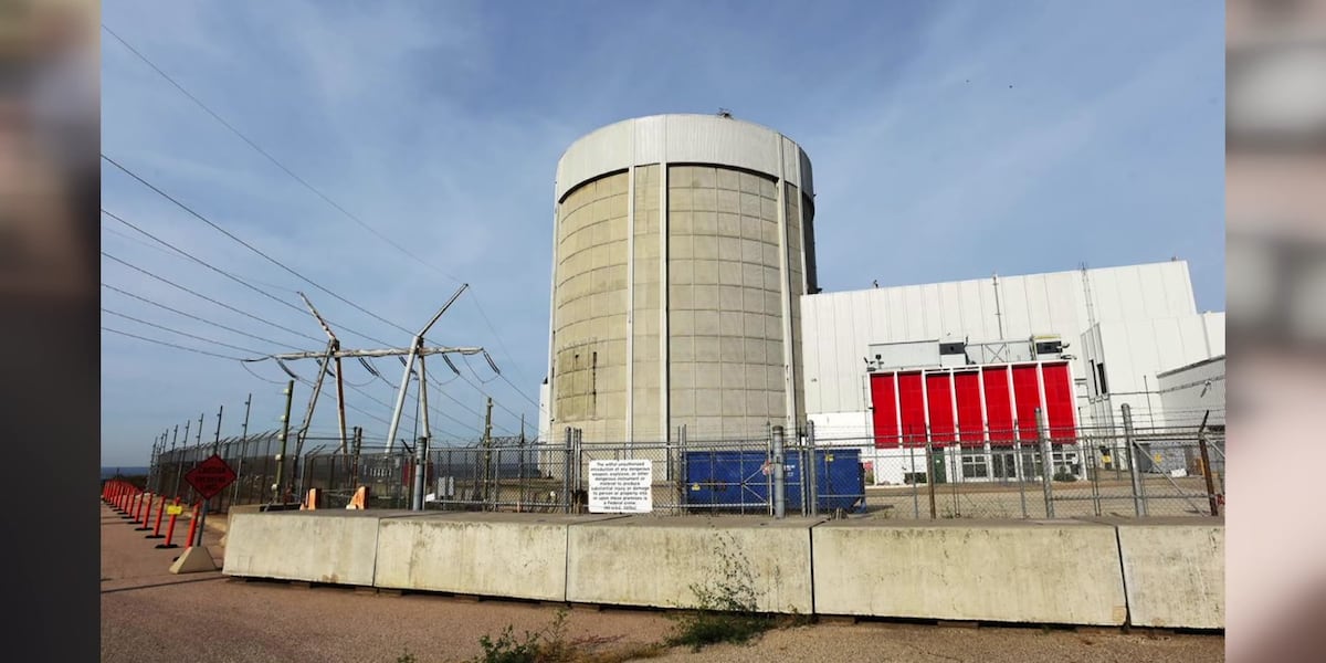 First-of-its-kind small nuclear reactors in the works for Palisades plant