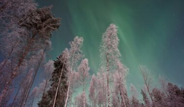 The best places to chase the northern lights without setting foot in Iceland