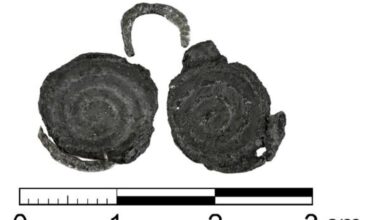 Lead pendant from the Early Iron Age (800–500 BCE) discovered in a cemetery in Jankowice, Lesser Poland Voivodeship Credit: R. Czech-Błońska