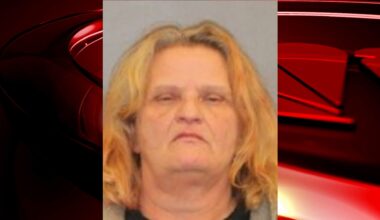Sheriff: Malta woman stabbed person in the chest