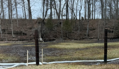 EPA working to contain oil seeps in Barren County