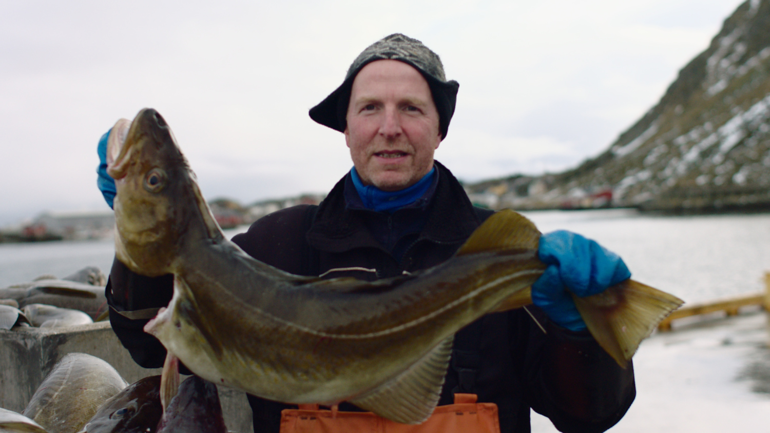 First week of serious volume on Norway's fresh cod auction fails to stop prices rising again