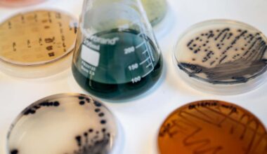 Dyes made by microbes could reduce the environmental impact of clothes