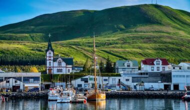 Top 10 destinations for epic whale watching around the world – East Bay Times