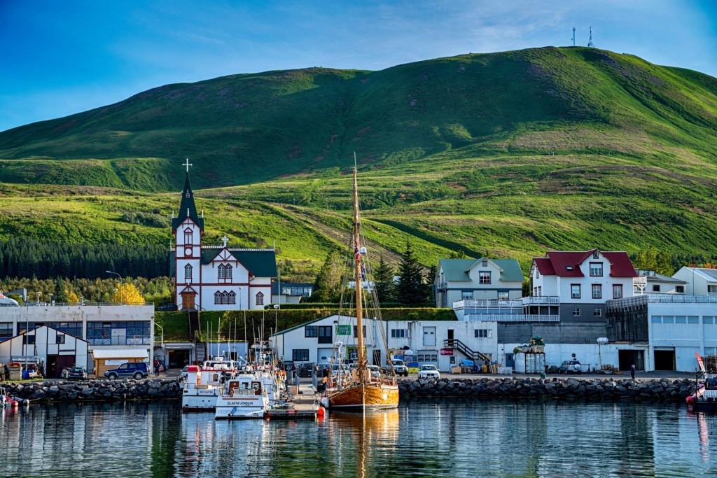 Top 10 destinations for epic whale watching around the world – East Bay Times
