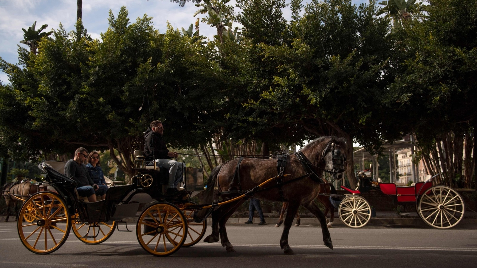 Last ride? Malaga in Spain to ban iconic horse carriages for tourist use from this year | Travel