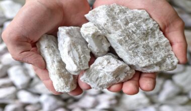 Savannah suspends prospecting works at some sites of its Portugal lithium project