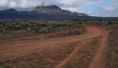 Trump taps Sgamma of Western Energy Alliance to head Bureau of Land Management