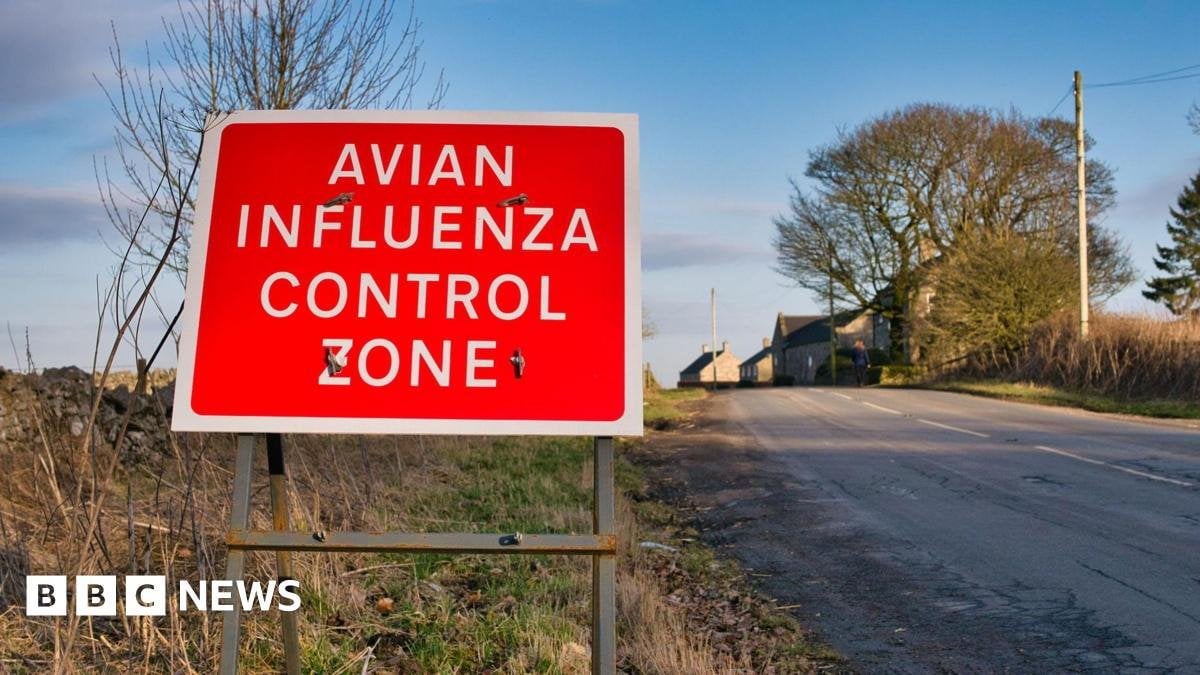 Control zone in place after bird flu detected at nature reserve