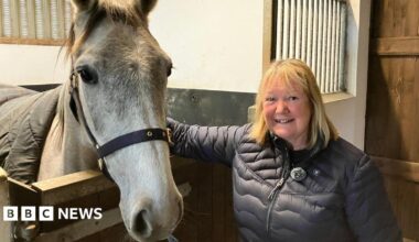 Test to find out if horses suffer from depression at Aberystwyth University