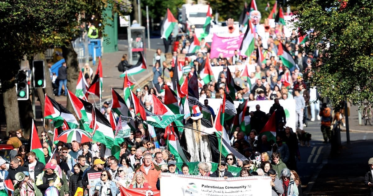 ‘Clear message’ of Irish support for Gaza to be sent in march to Belfast’s US Consulate