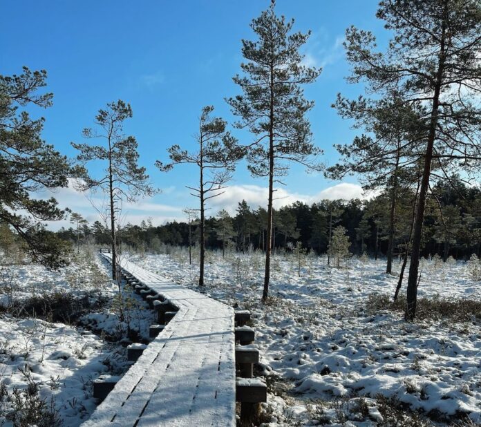 Snow, frost and slippery roads: weather forecast for coming days in Latvia