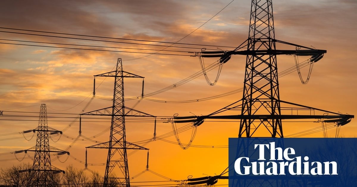 Energy network owners have made £3.9bn ‘excess profit’ from higher bills, says report. Citizens Advice believes Ofgem made flawed interest rate calculation for companies in Great Britain