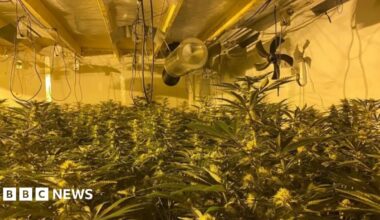Man charged over Belfast cannabis factory