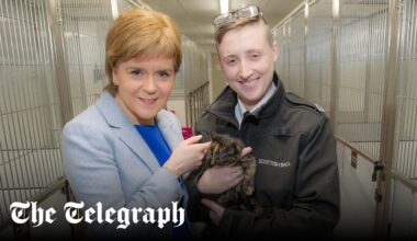SNP to consider banning cats. Owners could be forced to keep pets indoors or, in some cases, prohibited from owning them, to protect wild animals