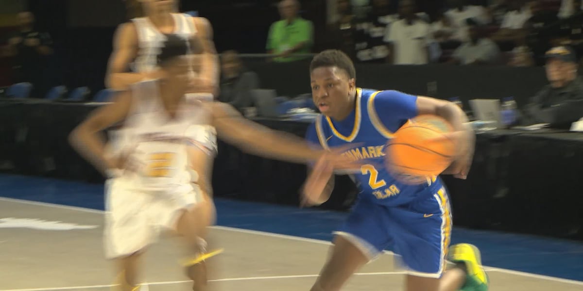 Denmark-Olar basketball headed to first state final since 1990, GIAA scores