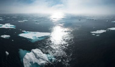 Polar ice melt may collapse key ocean current by 2050, scientists warn