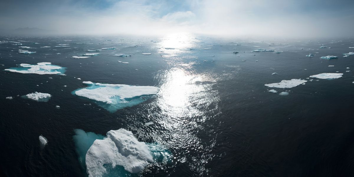 Polar ice melt may collapse key ocean current by 2050, scientists warn